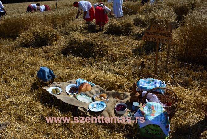 19. Hagyoányos Aratás 2015. július 4.  Mag Mohol